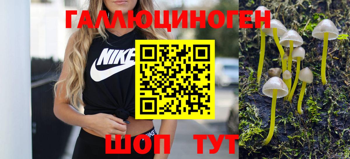 Псилоцибиновые грибы Psilocybe Владивосток