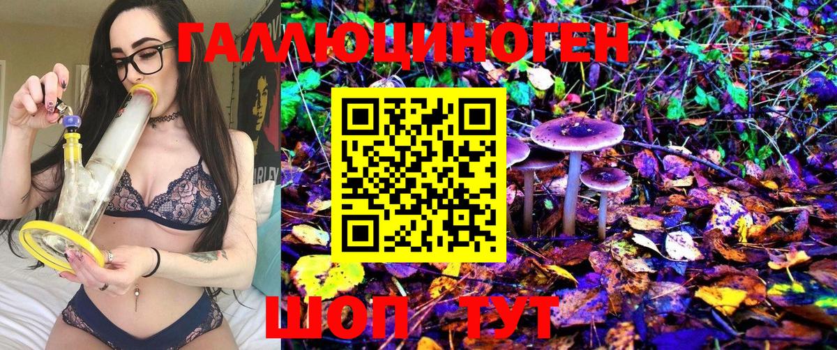 Галлюциногенные грибы Psilocybine cubensis  Вход с VPN  Галлюциногенные грибы Psilocybine cubensis  сколько стоит  Владивосток 